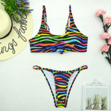 Rainbow Zebra